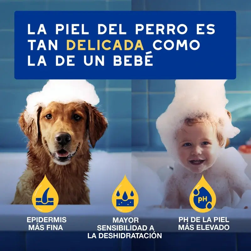 Douxo Skin & Coat Spa Shampooing à l'avoine pour chiens, 250 ml
