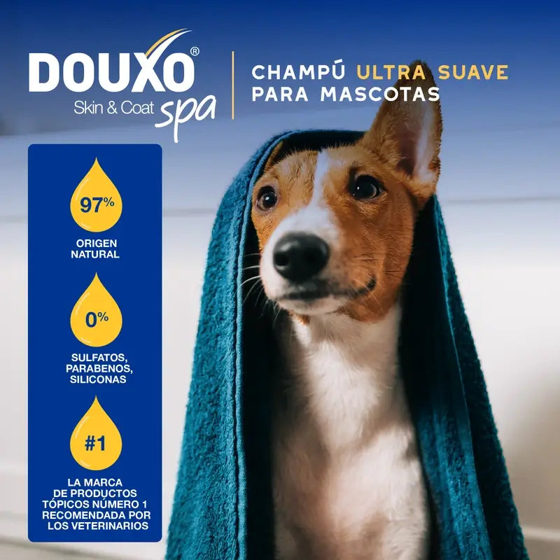 Douxo Skin & Coat Spa Shampooing à l'avoine pour chiens, 250 ml