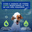 Douxo Skin & Coat Spa Shampooing pour chiots, 250 ml