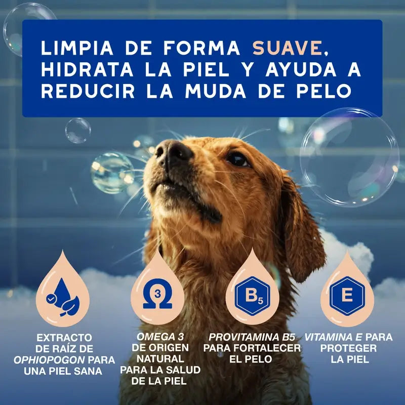 Douxo Skin & Coat Spa Shampooing anti-mue pour chiens, 250 ml