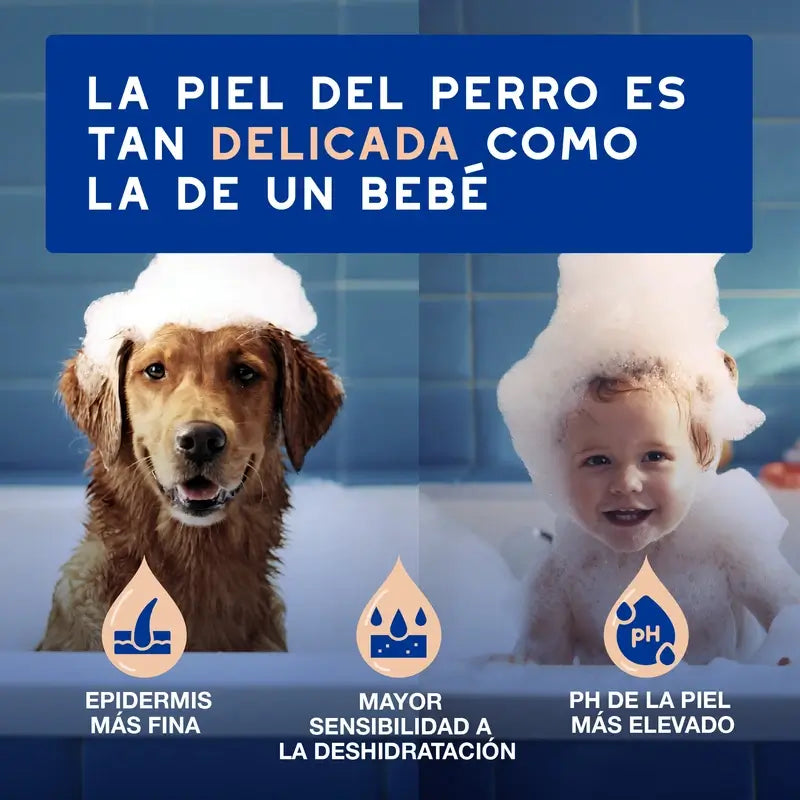 Douxo Skin & Coat Spa Shampooing anti-mue pour chiens, 250 ml