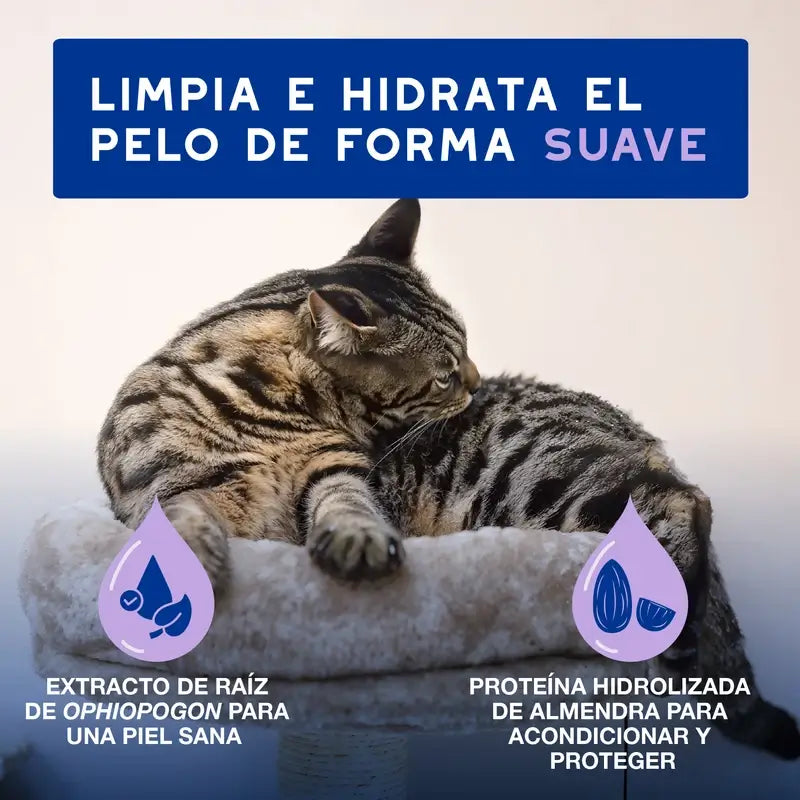 Douxo Skin & Coat Spa Nettoyage ultra doux pour une toilette sans stress du chat, 150 ml