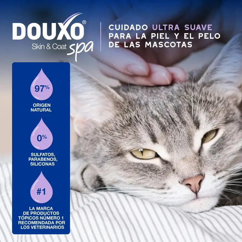 Douxo Skin & Coat Spa Nettoyage ultra doux pour une toilette sans stress du chat, 150 ml
