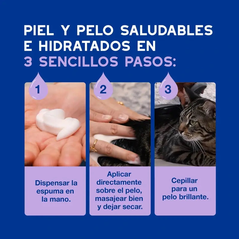 Douxo Skin & Coat Spa Nettoyage ultra doux pour une toilette sans stress du chat, 150 ml