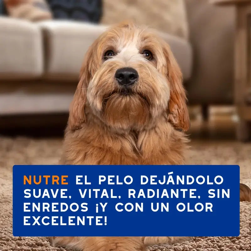Douxo Skin & Coat Spa Spray démêlant pour chiens, 340 ml