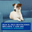 Douxo Skin & Coat Spa Spray multi-actions anti-odeurs pour chiens, 340 ml