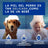 Douxo Skin & Coat Spa Multi-Purpose Wipes For Dogs & Cats, 100 pcs.