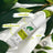 Dr. Organic Stick à l'arbre à thé pour boutons et imperfections Peau acnéique ou grasse, 8 g