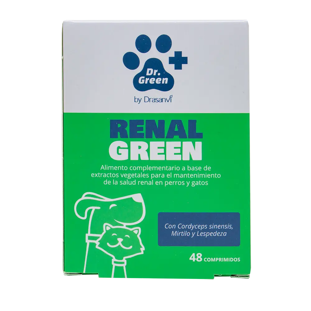 Drasanvi Drgreen Renalgreen , 48 tablets