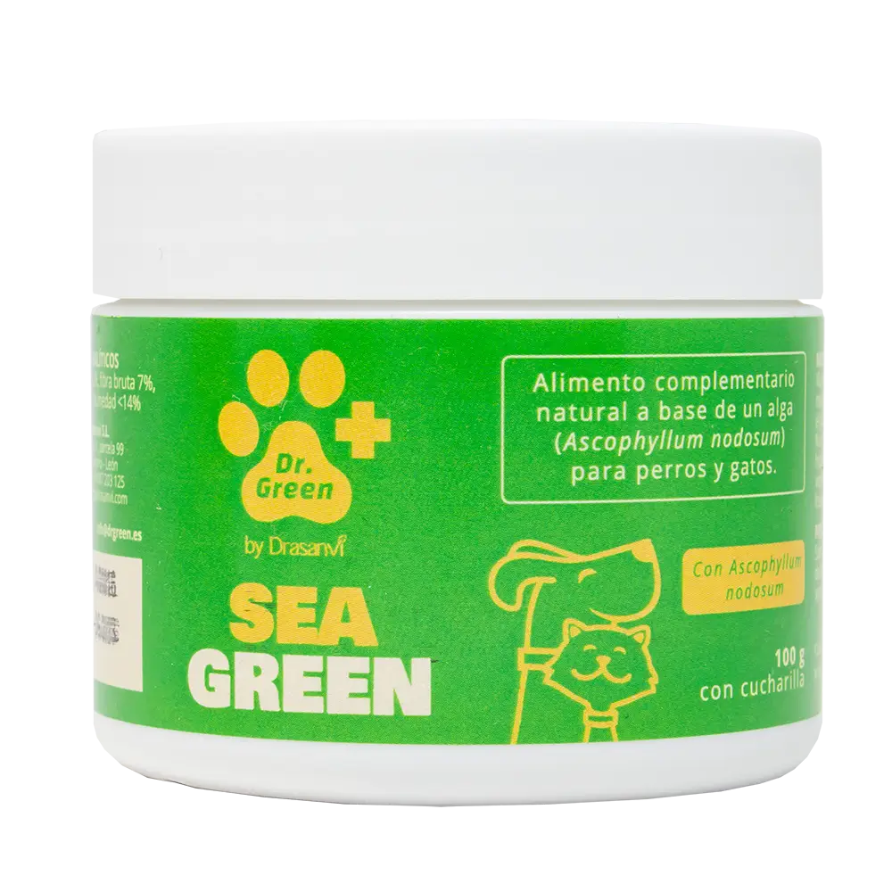 Drasanvi Drgreen Seagreen , 100 g