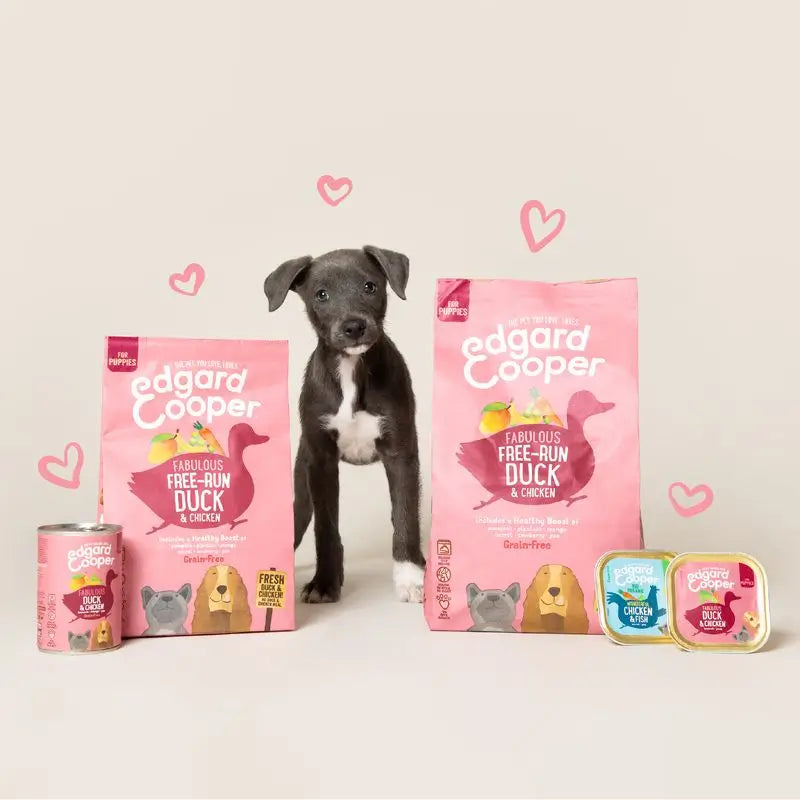Edgard & Cooper Alimentation humide pour chiots 6x400g Canard & Poulet