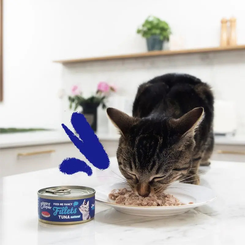 Edgard & Cooper Wet Cat Food 24x70g Grain-Free Tuna Fillets (Filets de thon sans céréales)