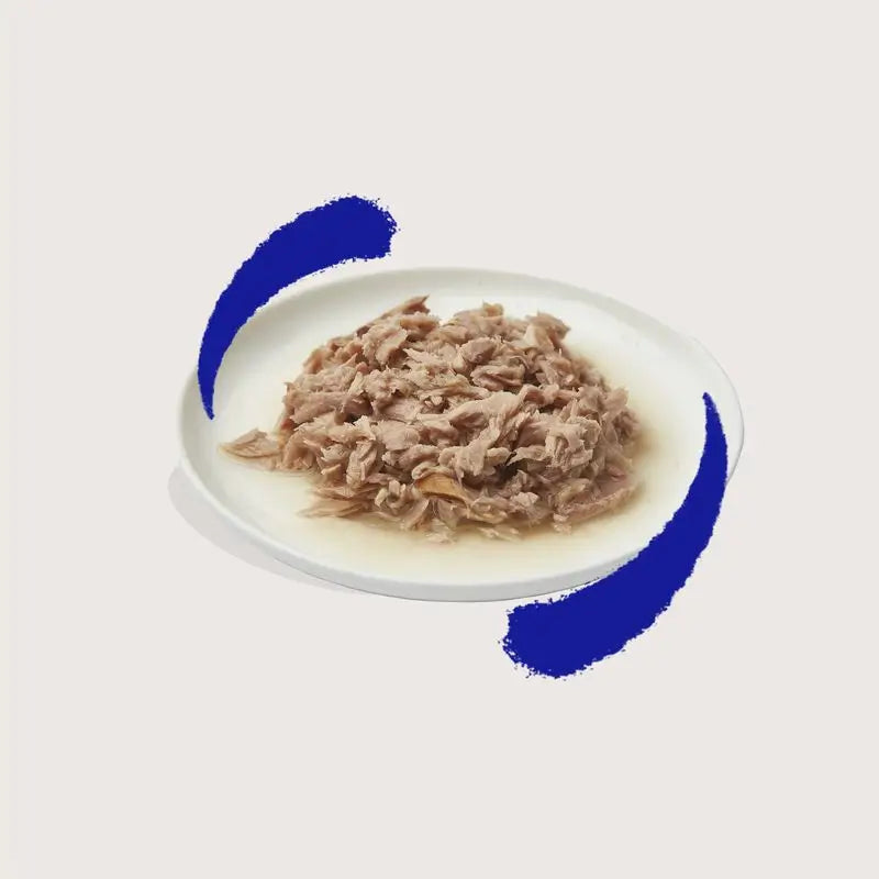 Edgard & Cooper Wet Cat Food 24x70g Grain-Free Tuna Fillets (Filets de thon sans céréales)