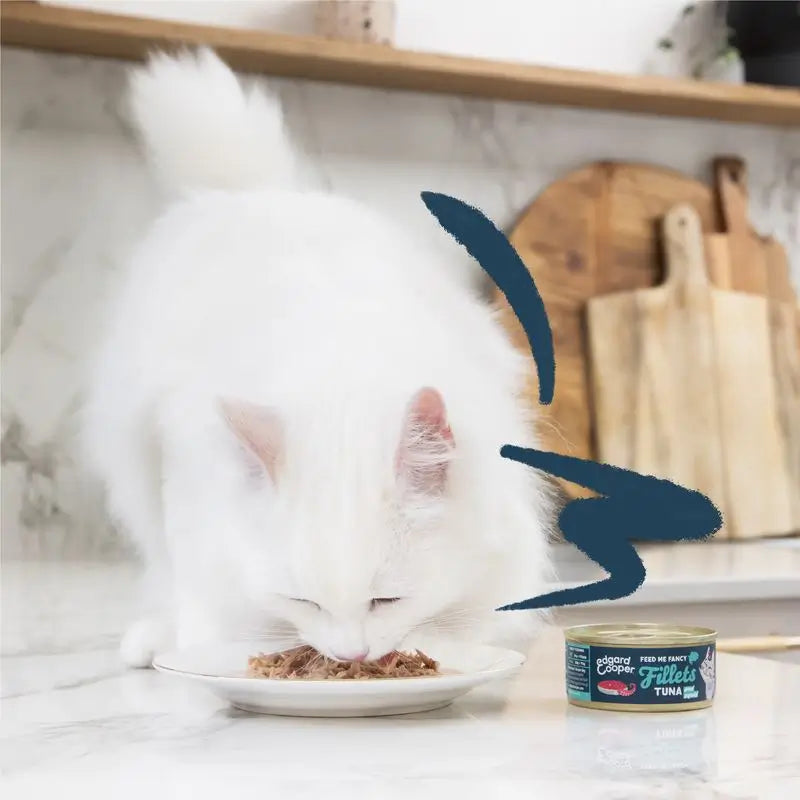 Edgard & Cooper Wet Cat Food 24x70g Filets de thon et de calmar sans céréales