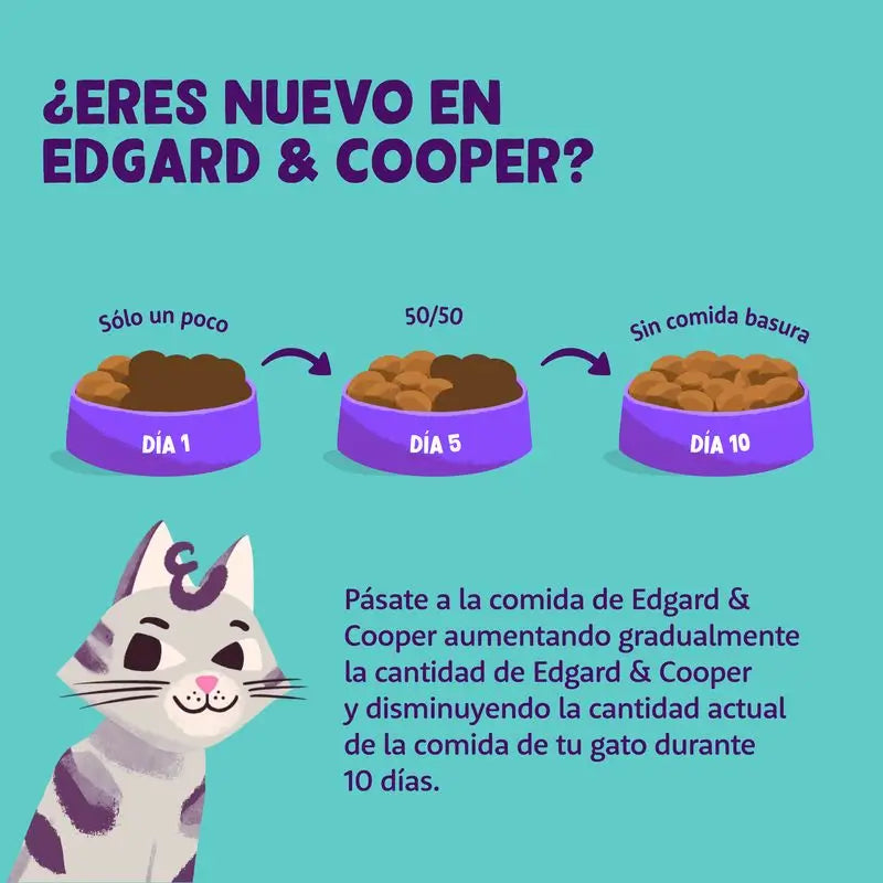 Edgard & Cooper Adult Wet Cat Food 16x85g Lamb