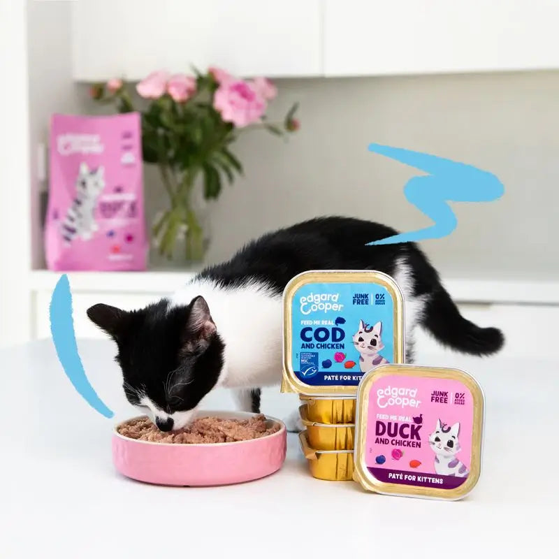 Edgard & Cooper Wet Cat Food Kitten 16x85g Poulet en liberté