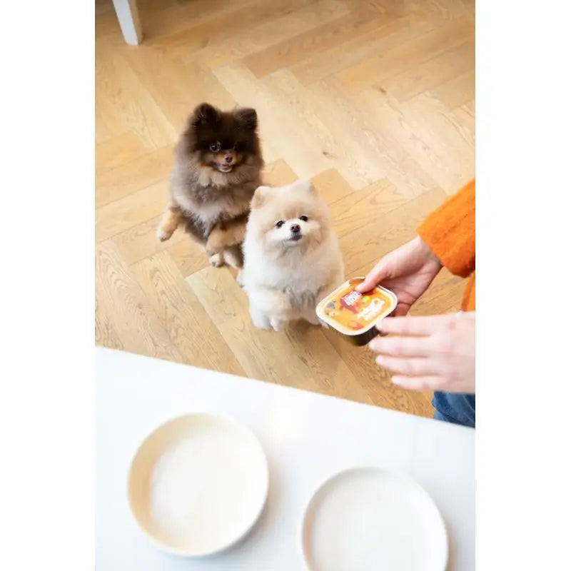 Edgard & Cooper nourriture humide pour chien 11x150g poulet et dinde