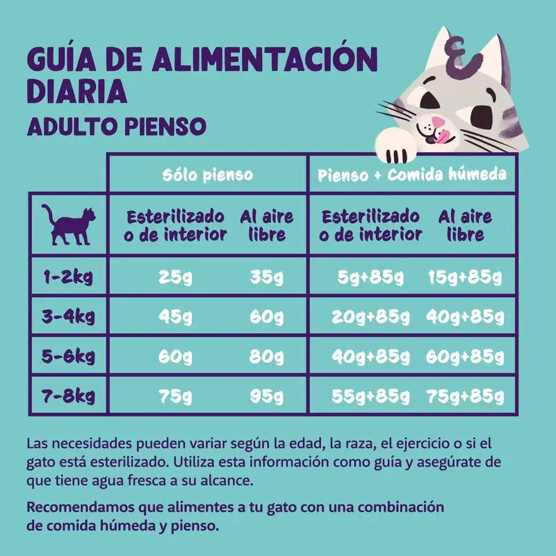 Edgard & Cooper Adult Cat Food 2kg Fresh Atlantic Salmon (saumon atlantique frais)