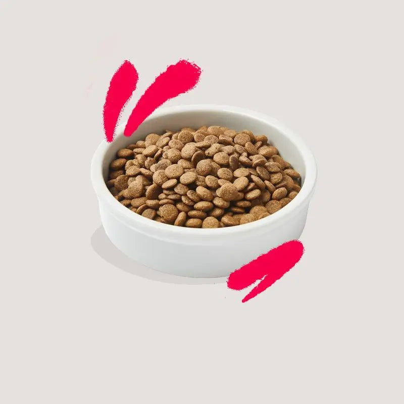 Edgard & Cooper Senior Cat Food 2kg Fresh From The Farm Chicken (Poulet de la ferme)