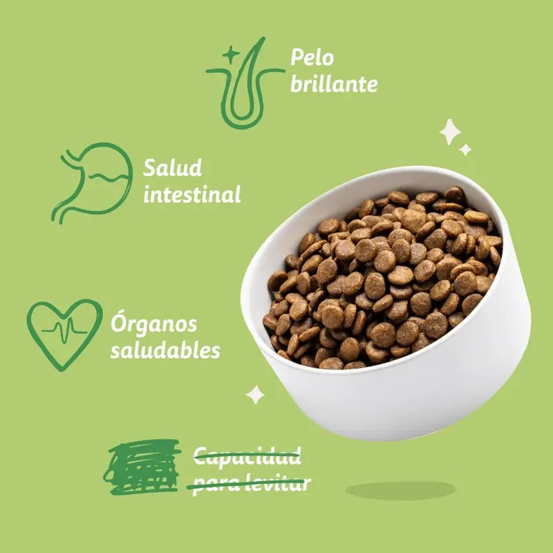 Edgard & Cooper Croquettes pour chiens miniatures adultes avec agneau frais, 3 kg