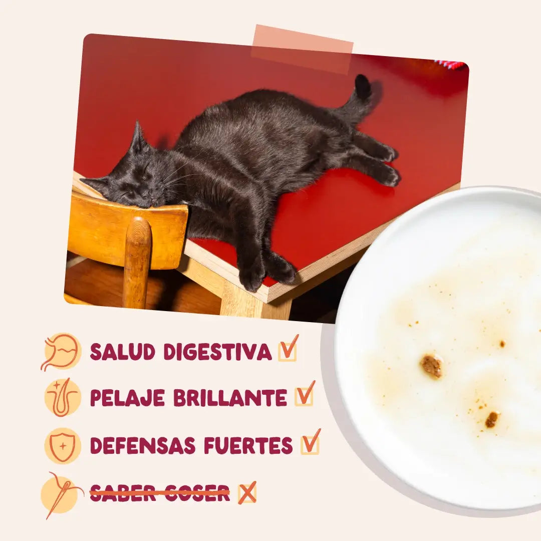Edgard & Cooper Festines De La Granja en sauce pour adultes, lot de 12 x 85 g