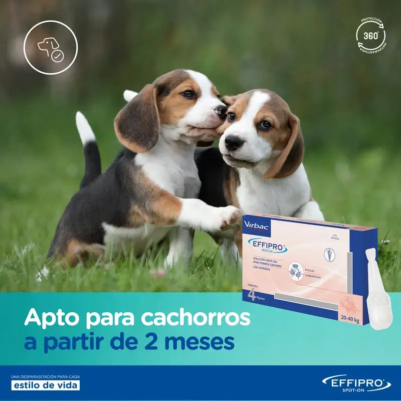 Effipro 134 Mg Spot-On Chiens moyens 10-20 kg, 24 Pipettes