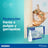 Effipro 50 Mg Spot-On Chats, 4 Pipettes