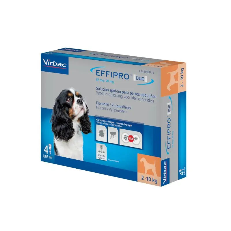 Effipro Duo Spot-On Petit Chien 2-10Kg, 4 Pipettes