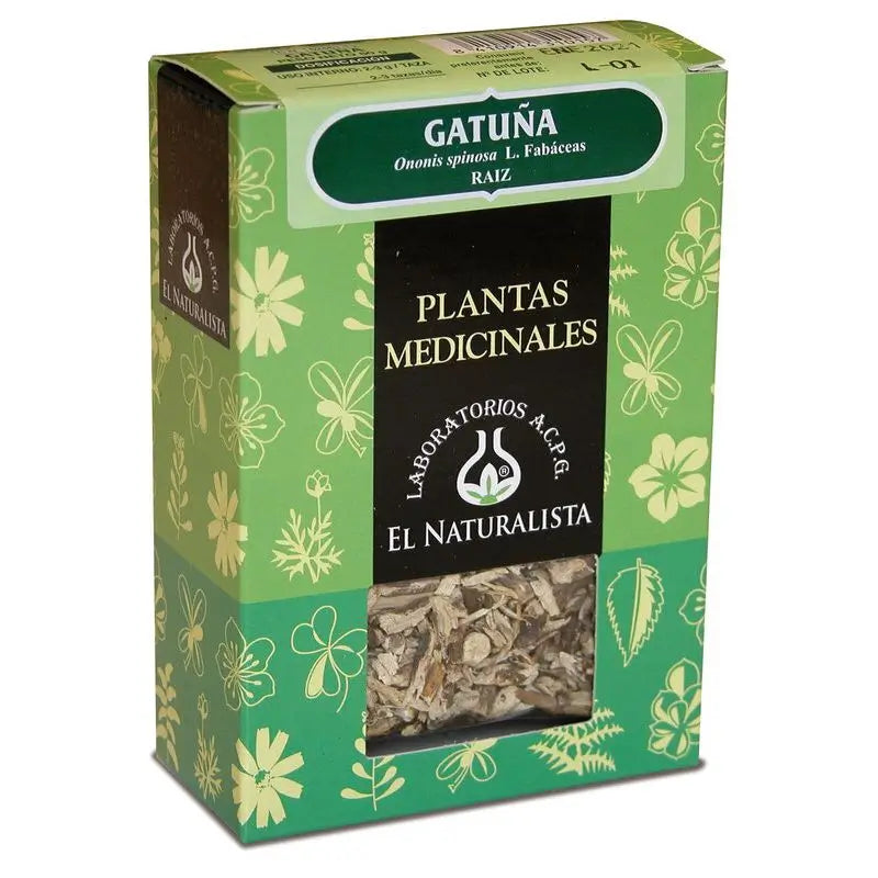 El Naturalista Gatuña, Single Plant, 80 G