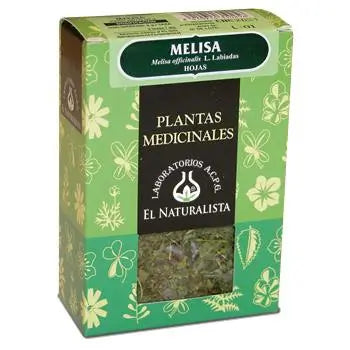 El Naturalista Lemon Balm, Single Plant, 30 G