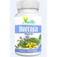 El Valle Borage Oil 120Pearls