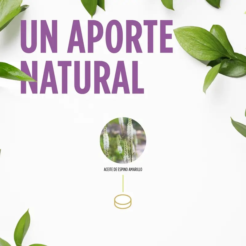 Eladiet Vita Woman Actée à grappes noires 60 comprimés