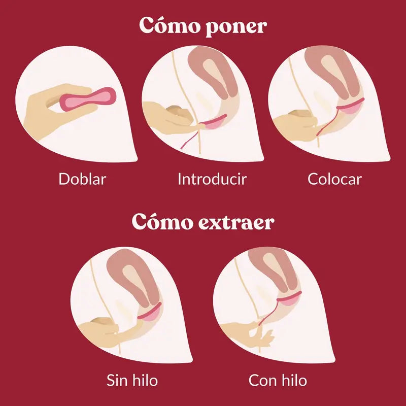 Coupe menstruelle Enna Cycle Disc