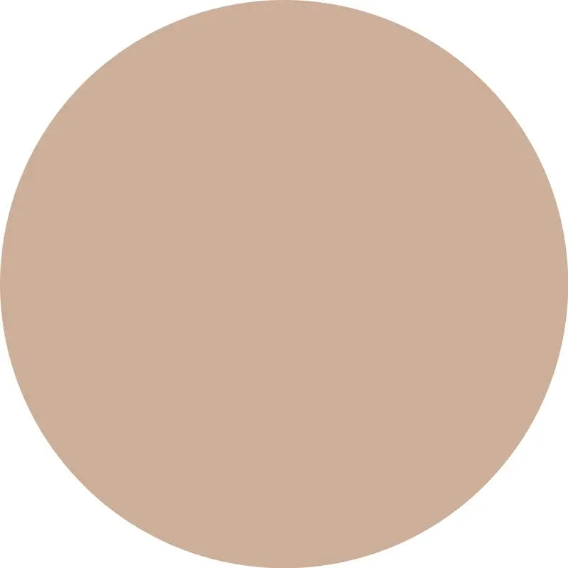 Essence Concealer Camouflage+ Matt 100 , 8 ml