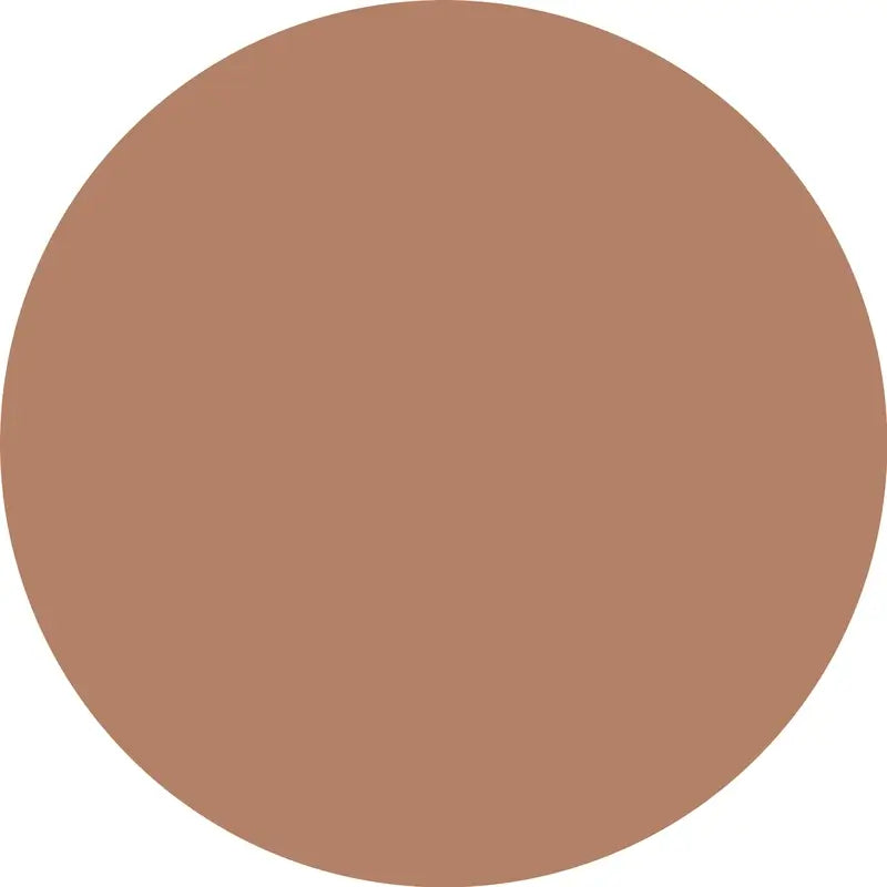 Essence Concealer Camouflage+ Matt 190 , 8 ml
