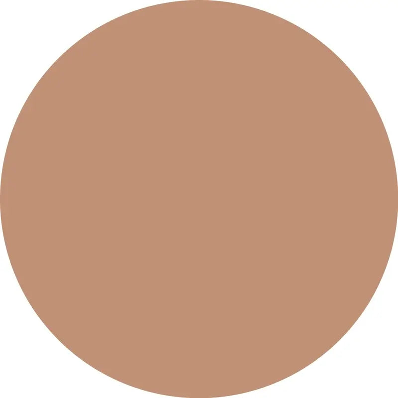Essence Concealer Camouflage+ Matte 170, 8 ml