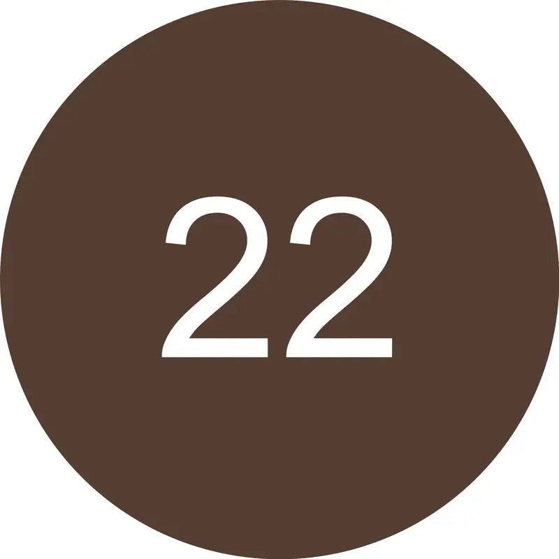 Essence Lip Liner 8H Matte Comfort 22, 0.3 g