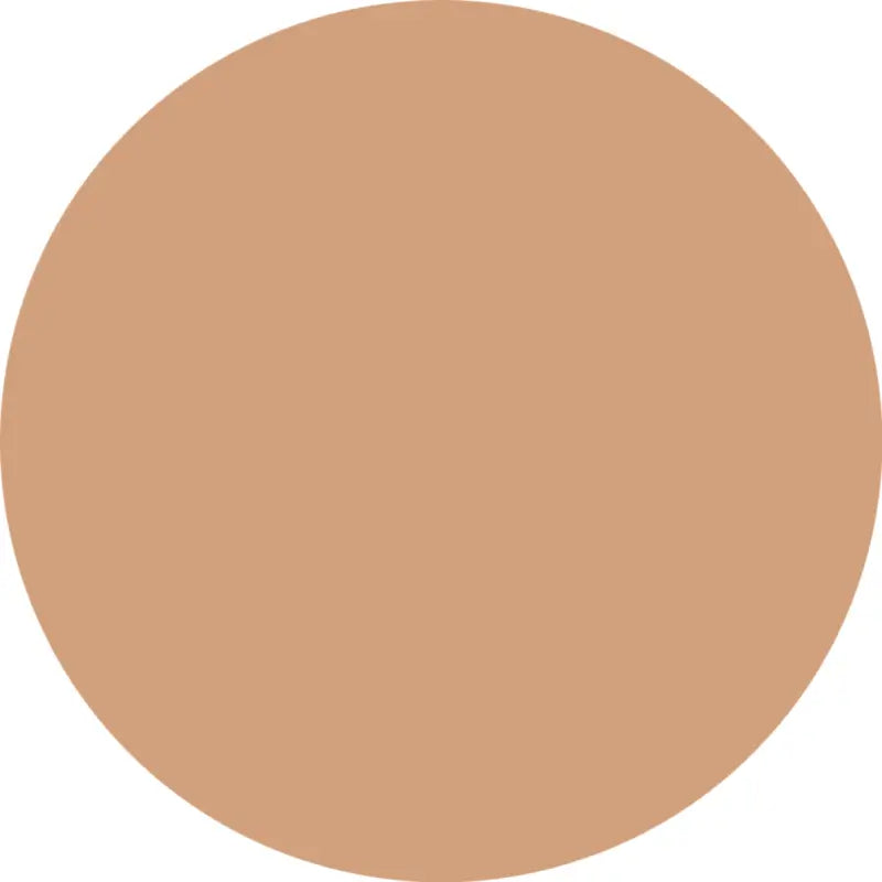 Essence Fond de teint Silky Cushion Foundation 170, 12 g