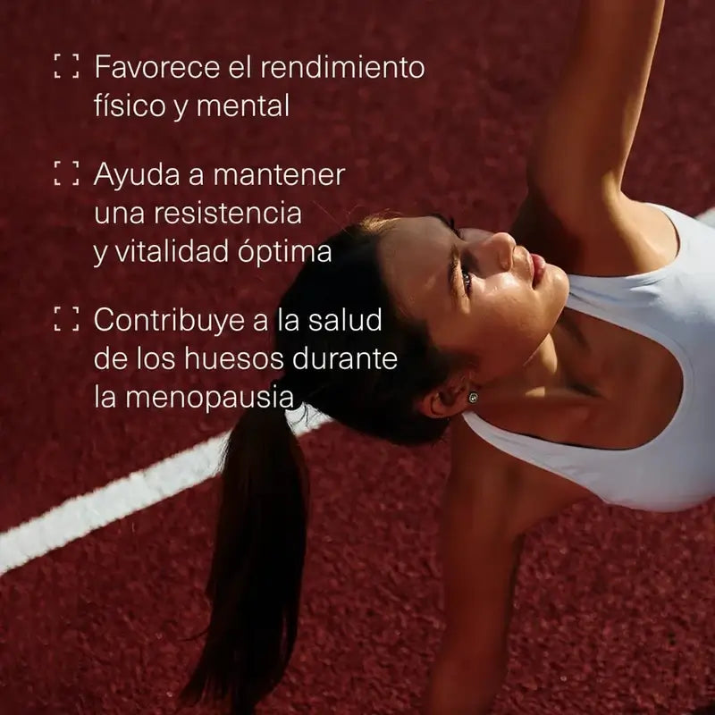 Aldous Maca Extract, 400 comprimés