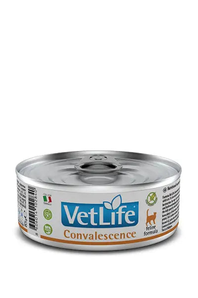 Farmina Vet Life Cat Convalescence 12X85Gr Box, wet cat food