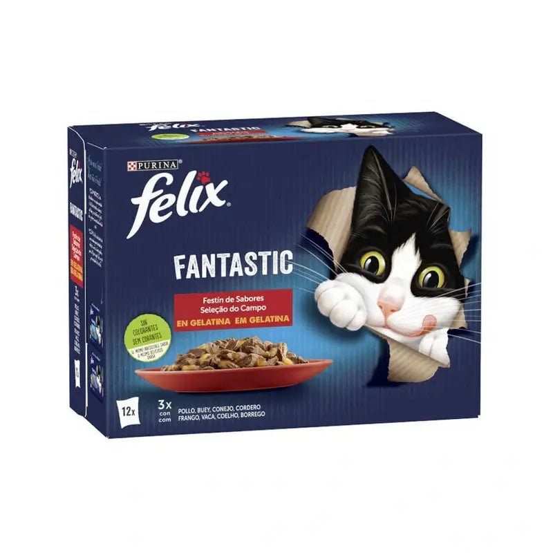 Felix Fantastic Carnes Gélatine 4 x 24 x 85 grammes