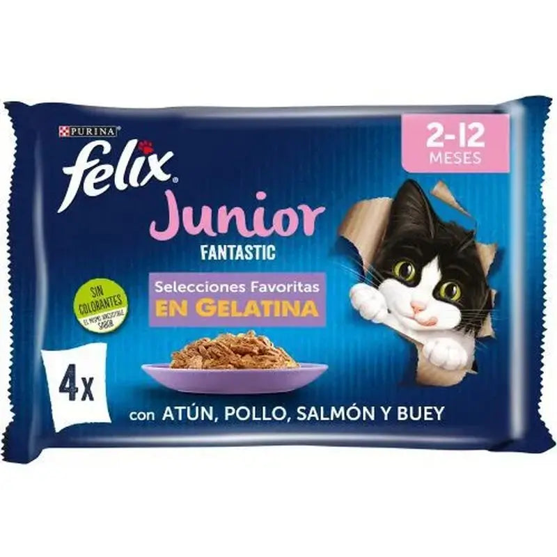 Felix Feline Fantastic Junior Grill In Jelly 12X4X85Gr