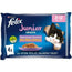 Felix Feline Fantastic Junior Grill In Jelly 12X4X85Gr