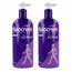 Fisiocrem Gel Active 600 ml, lot de 2