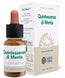 Forza Vita Quintessence Peppermint, 10 Ml