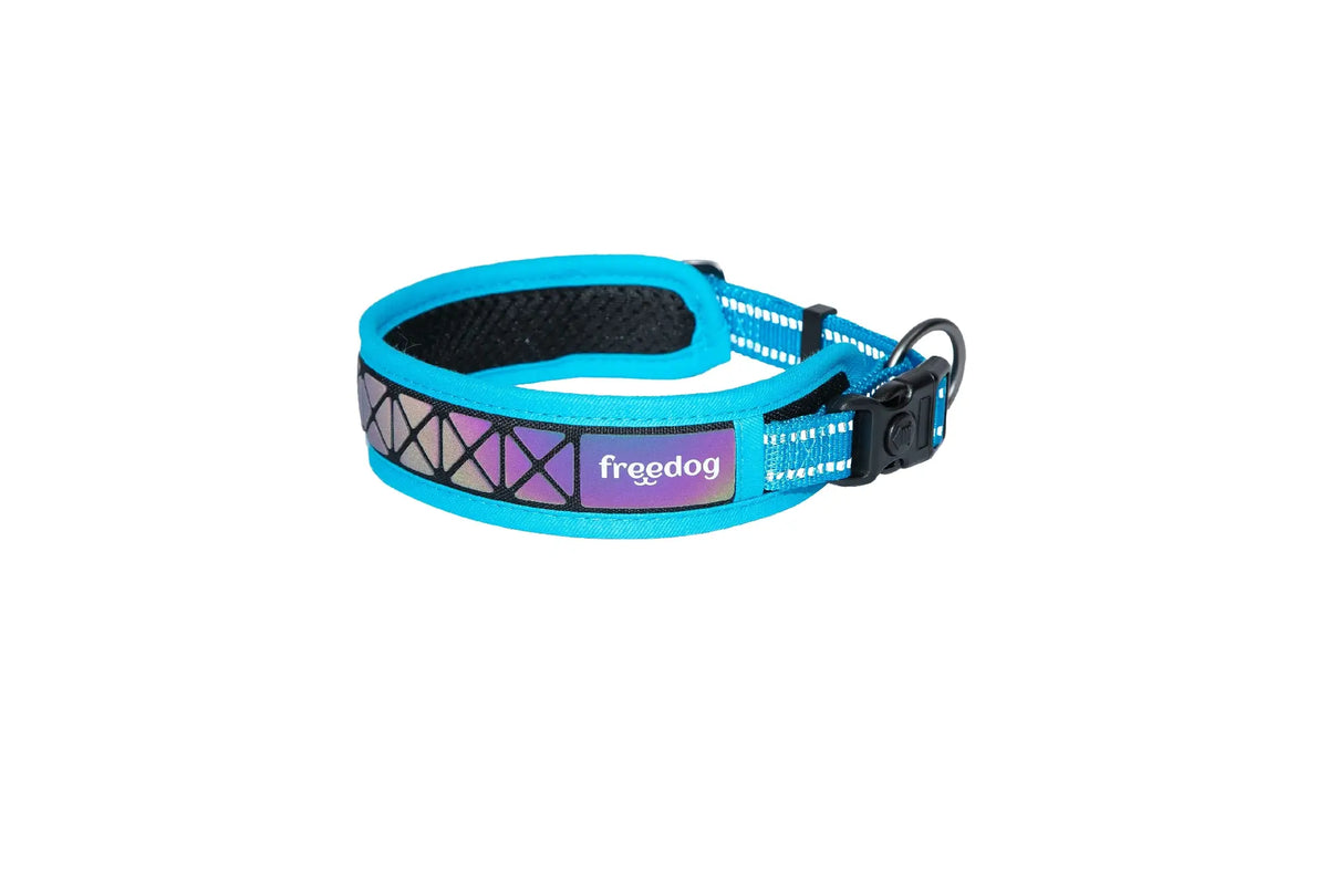 Freedog Collier Boreal Bleu Capri, 15 mm, 30/42 cm