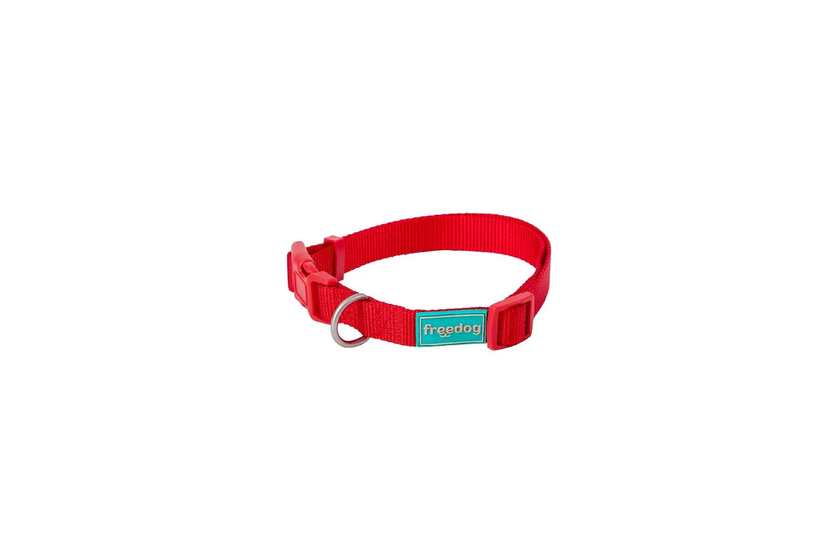 Collier Freedog en nylon Basic rouge, 25 mm, 38/66 cm