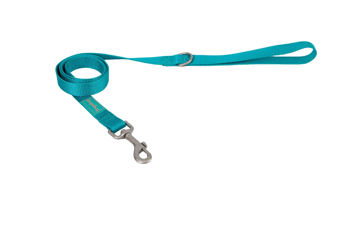 Freedog : laisse en nylon Basic turquoise, 25 mm, 120 cm