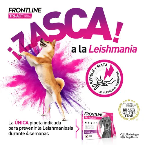 Frontline Tri-Act 10-20Kg, 6 Pipettes