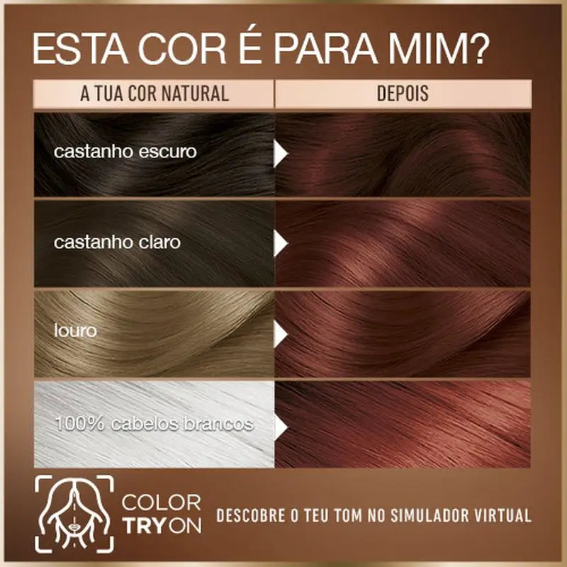 Garnier Good Coloration permanente sans ammoniaque, 90% d'origine naturelle Teinte 5.5 Cherry Brown